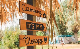 Olive Camping