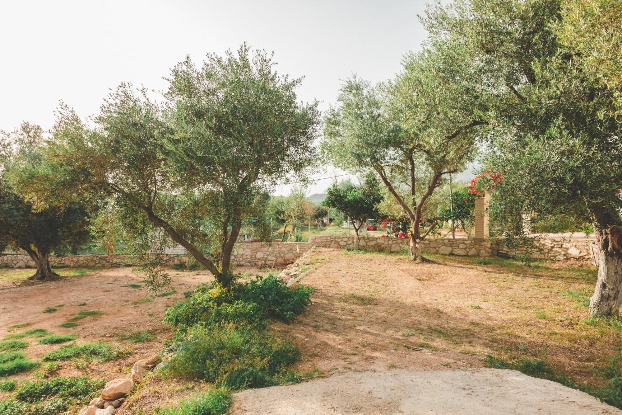 Olive Camping Himarë Exterior foto