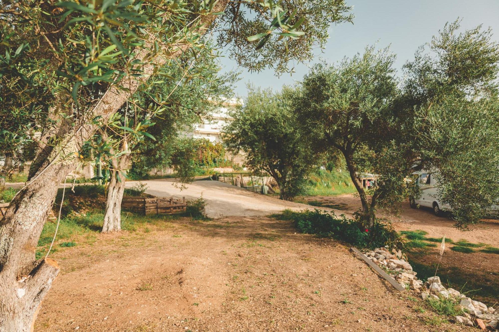 Olive Camping Himarë Exterior foto